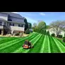 Cheap grass cutting services near me
