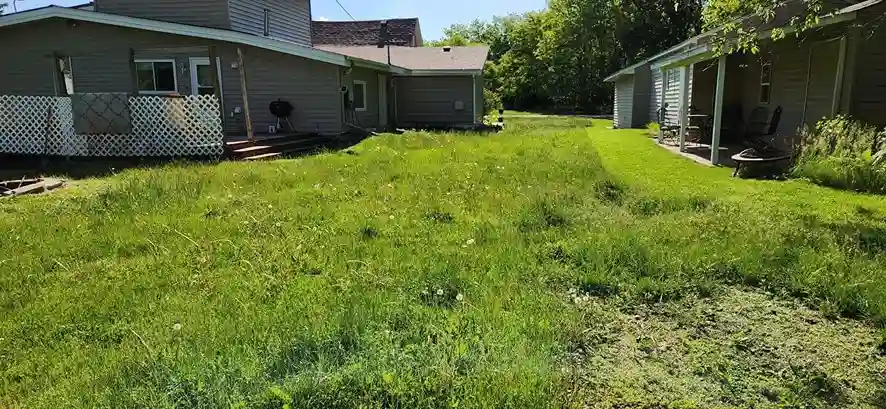 Lawn care service started by vendor 1 on GreenPal platform in San Diego CA