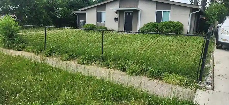 Lawn care service started by vendor 3 on GreenPal platform in San Diego CA