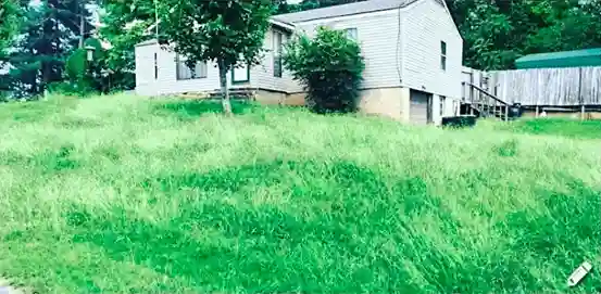 Lawn care service started by vendor 5 on GreenPal platform in San Diego CA