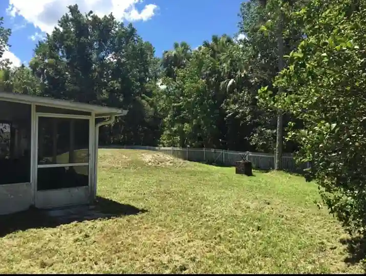 Yard maintenance completed by vendor 2 through GreenPal platform in San Diego CA