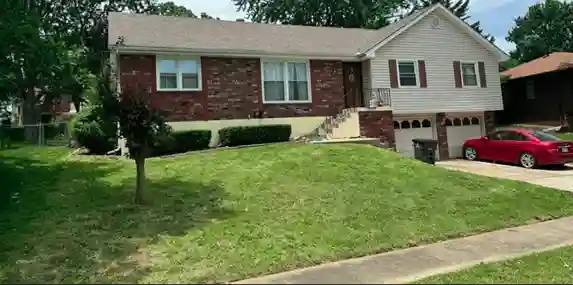 Yard maintenance completed by vendor 6 through GreenPal platform in San Diego CA