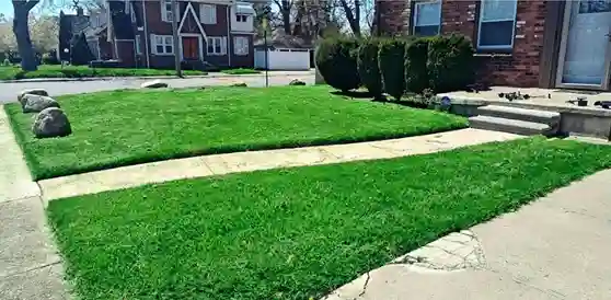 Yard maintenance completed by vendor 7 through GreenPal platform in San Diego CA