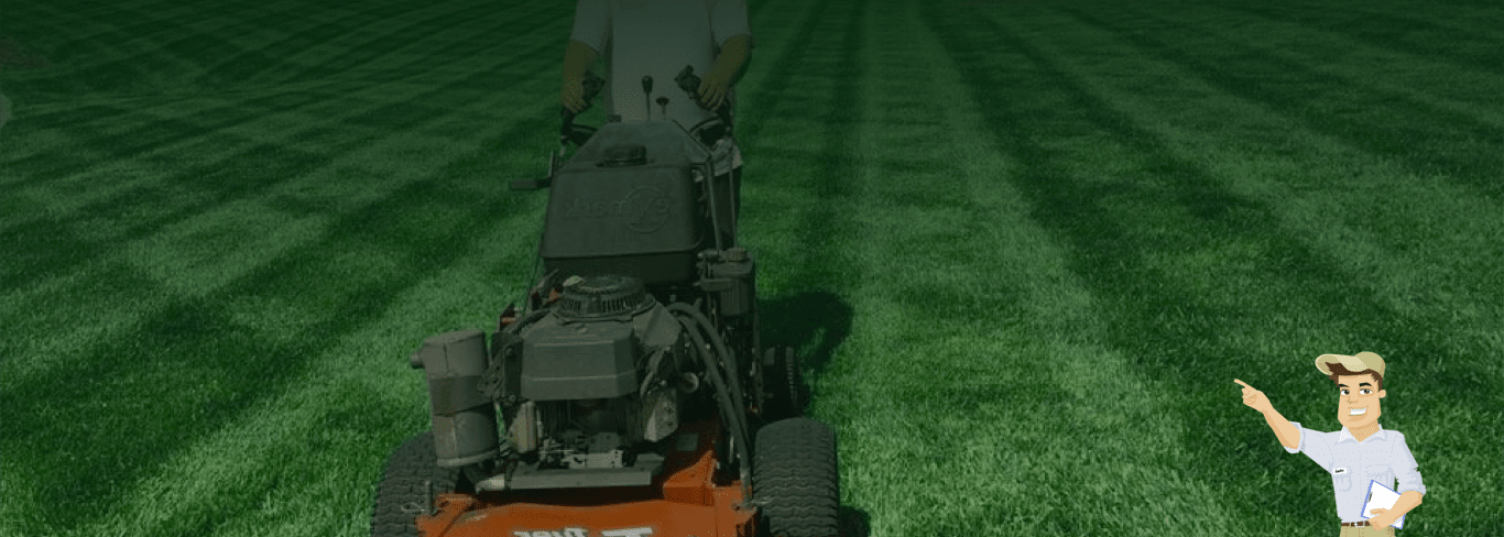 Lawn care hero background