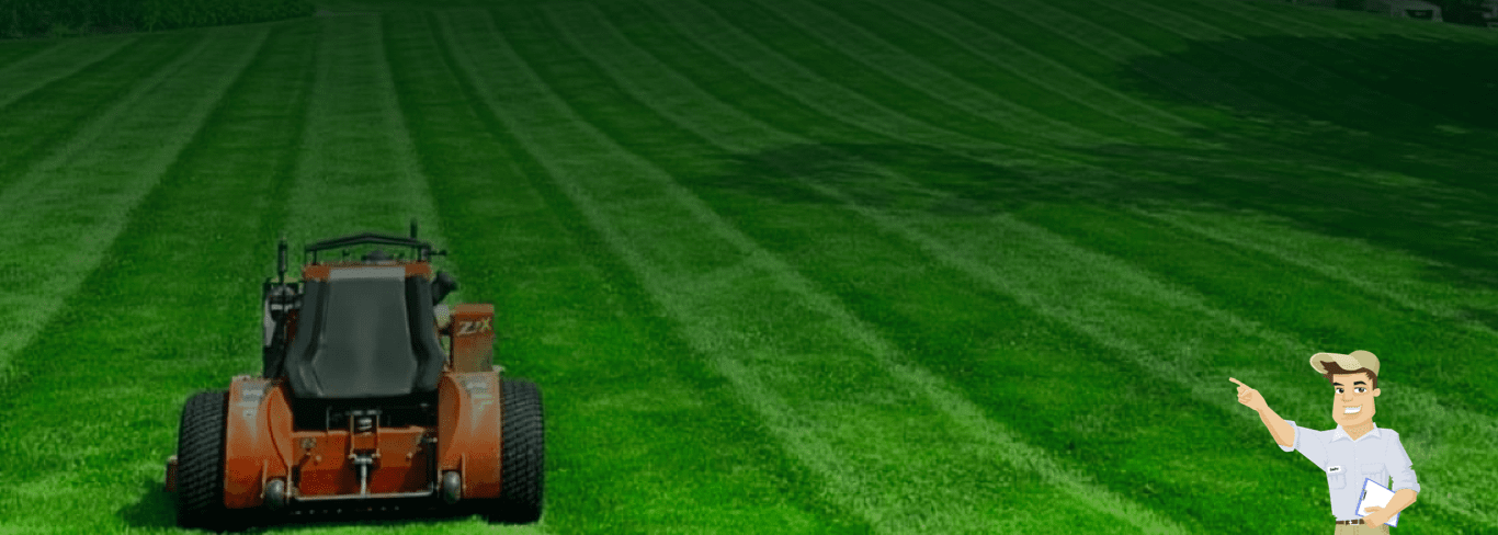 Lawn care hero background