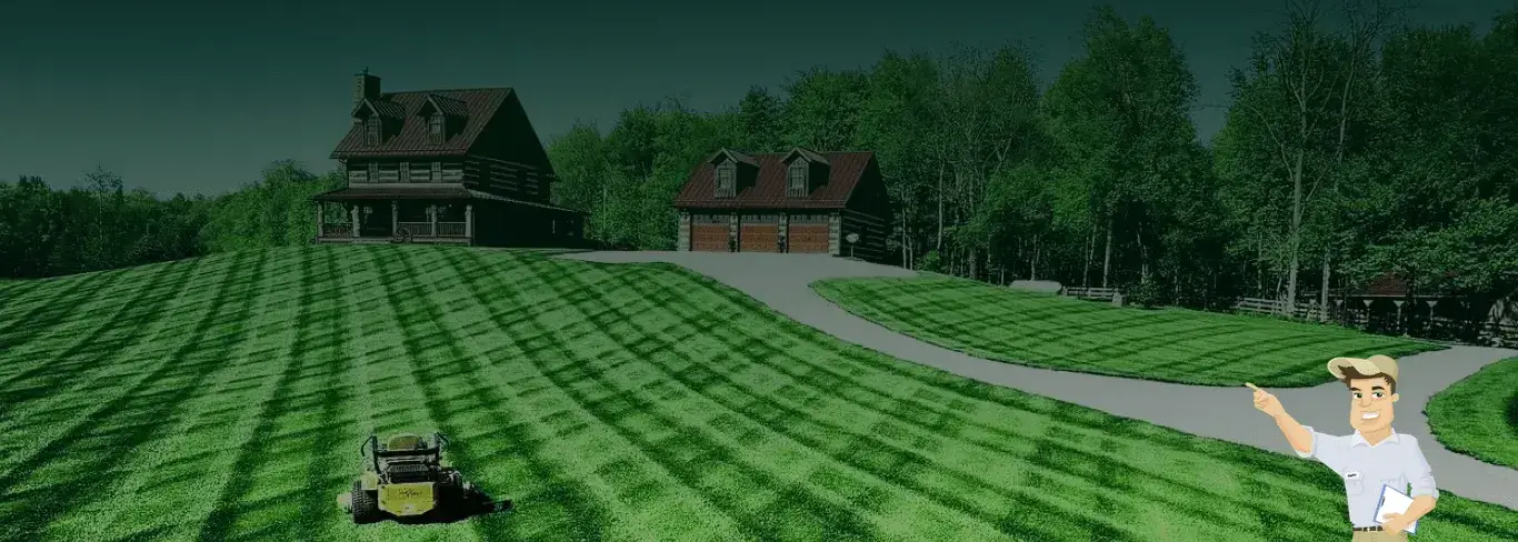 Professional lawn mowing and local yard care services in Cerritos, CA
