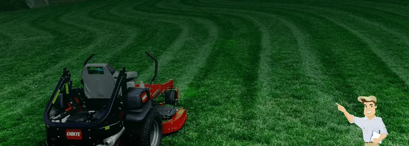 Professional lawn mowing and local yard care services in Coronado, CA